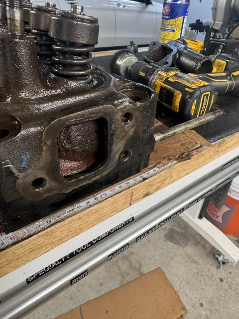 Rusty Head