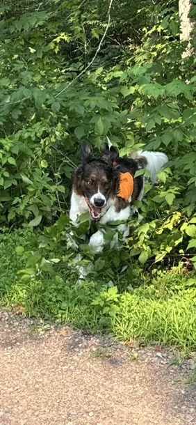 Oh Lawd, he comin!