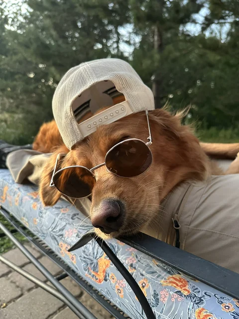 I's tierd
