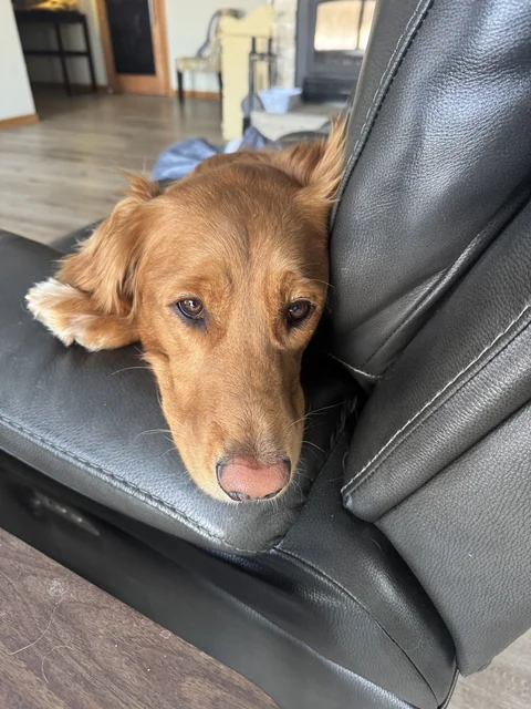 Are you done with work yet?