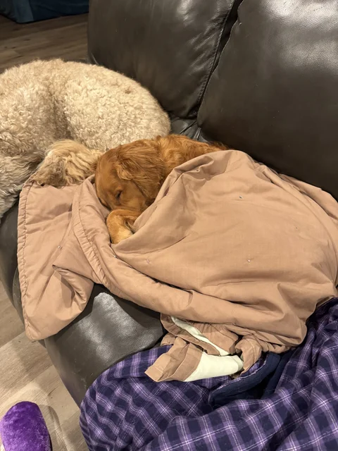 Laked' out.