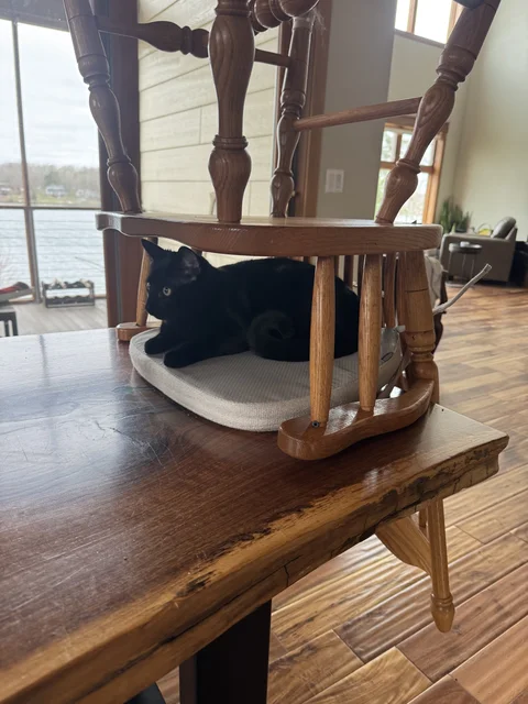 His chair... don't care.