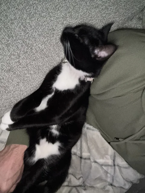 Tough life, Strawbs