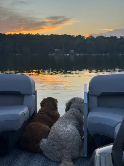 Sadly, we had to put big Bax down the week before we got the new boat 😪