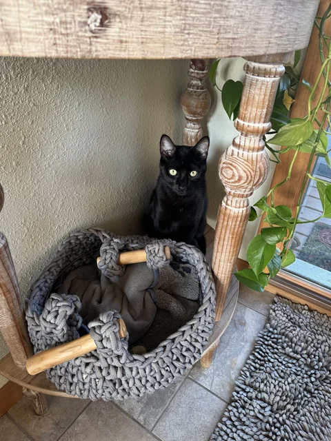 He’s guilty… of something