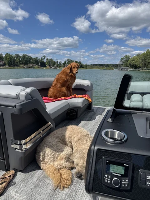 They love the new floating living room!