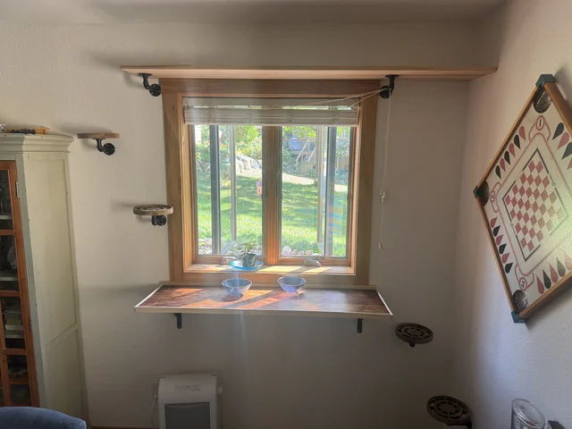 I built a little cat palace with a bird feeder outside. Fun little project. I used hard wood flooring! (Made for doll houses, lol). Bacon hangs out on top from time to time. We put treats up there to train them  