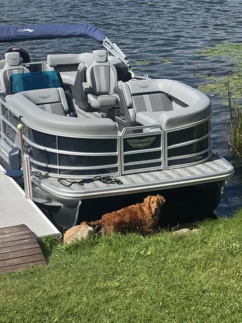 I threw a lacrosse ball, which bounce like super ball’s. I clearly didn’t think this through.  I looked in horror as it bounced toward the boat. It launched about 30’ into the air down the hill after hitting an invisible nuclear spring board in the yard. Luckily it landed right between the shore line and the big school bus bumper on the nose of the boat. Norah was a bit confused. “Where it go!?!” 😝