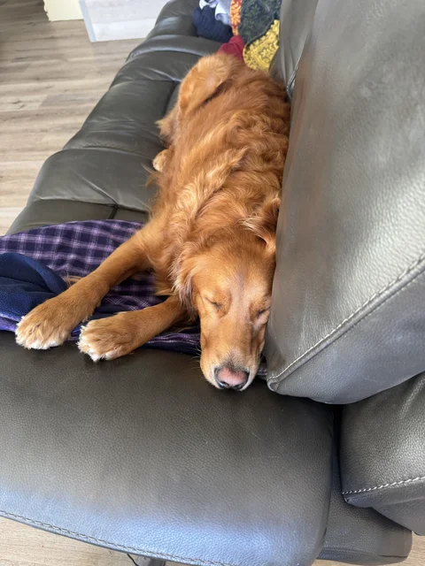 I guess she got tired of waiting today