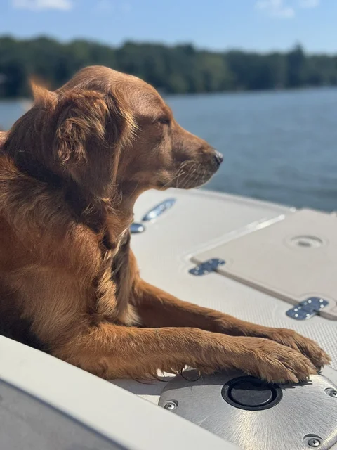 Ahhhhh... boats.